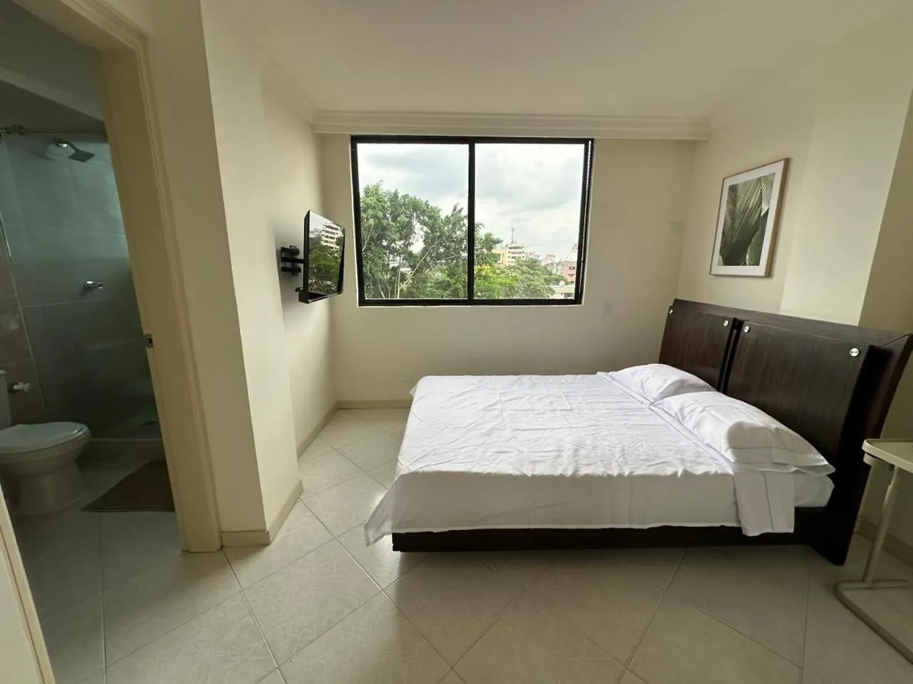 Gran Habitacion Con Terraza Cali 0*,